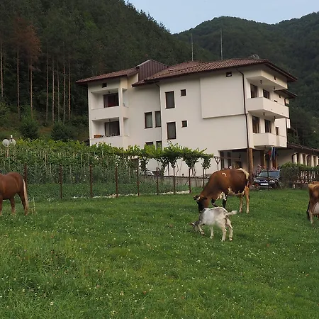 Hotel Izvora *